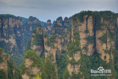 貴州自由行與跟團(tuán)游，哪種旅行方式更好？，貴州旅行，自由行還是跟團(tuán)游，哪種方式更優(yōu)選？