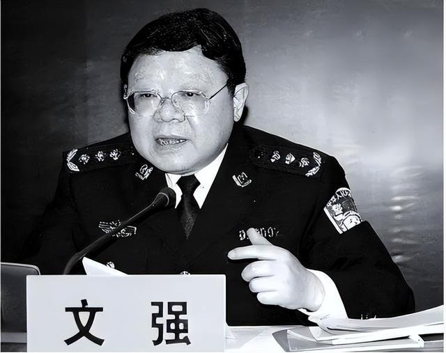 文強被誰下令抓捕的，一次司法公正的行動，文強抓捕行動，一次司法公正的勝利
