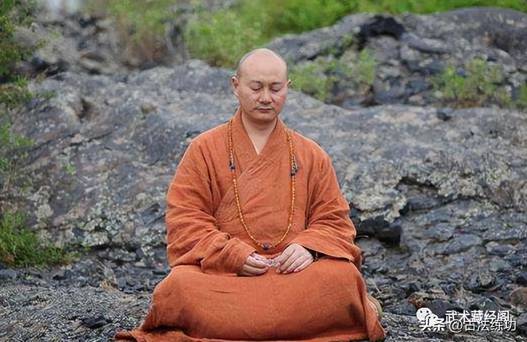 瑜伽大師壽命一覽表，探尋生命之樹(shù)的智慧脈絡(luò)，瑜伽大師壽命一覽表，探尋生命之樹(shù)的智慧脈絡(luò)與長(zhǎng)壽奧秘