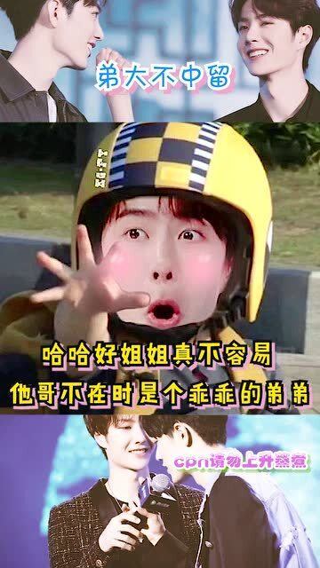 揭秘彩票背后的真相，有沒有一肖不中買的可能性？，揭秘彩票背后的真相，是否存在一肖不中的可能性？
