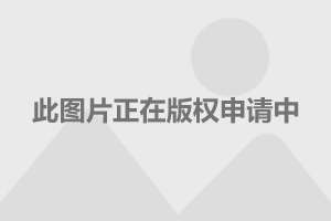 許晴個(gè)人資料身高詳述，許晴個(gè)人資料及身高詳述