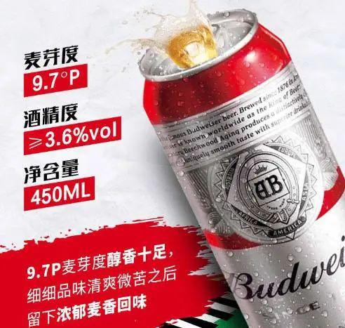 中國十大啤酒排名及其影響力分析，中國十大啤酒排名及影響力深度解析