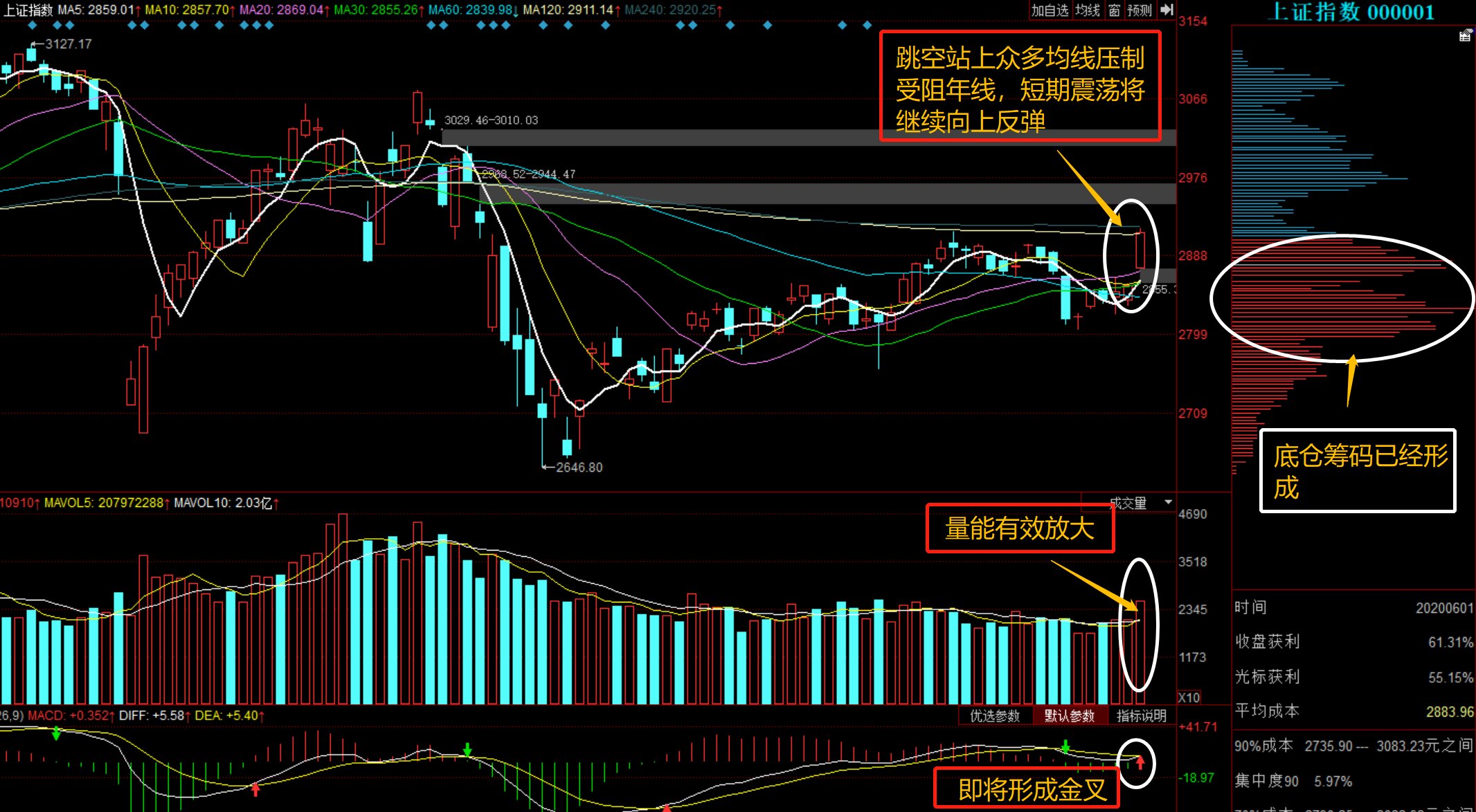 深度解析，601918股票行情，深度解析，股票行情解析與投資建議——以601918為例