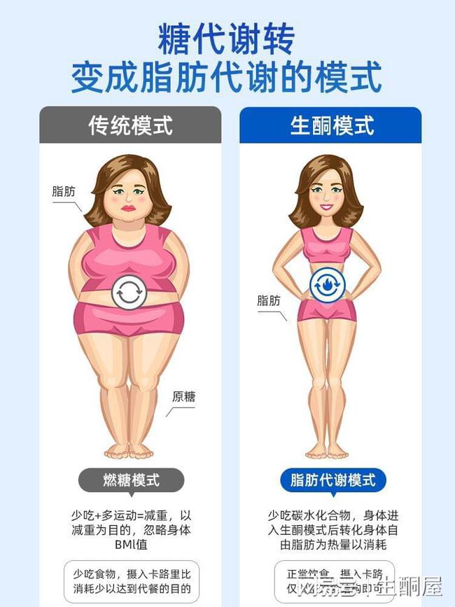 瘦下來的脂肪去哪了，揭示減肥過程中的脂肪轉(zhuǎn)化與代謝過程，揭秘減肥過程，脂肪轉(zhuǎn)化與代謝之旅，探究瘦下來的脂肪去向何方？
