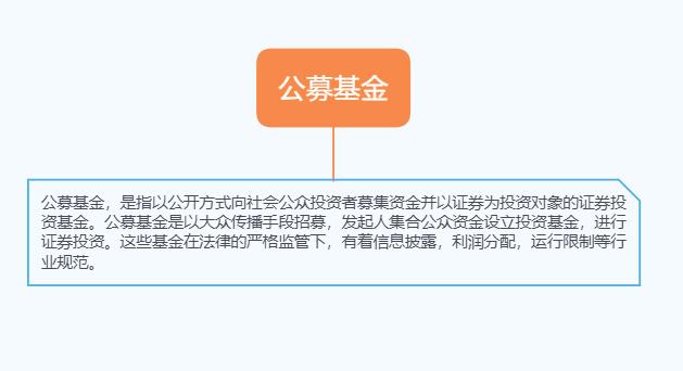大公募與小公募，資本市場的兩大募資方式及其區(qū)別，大公募與小公募，資本市場募資方式的差異解析
