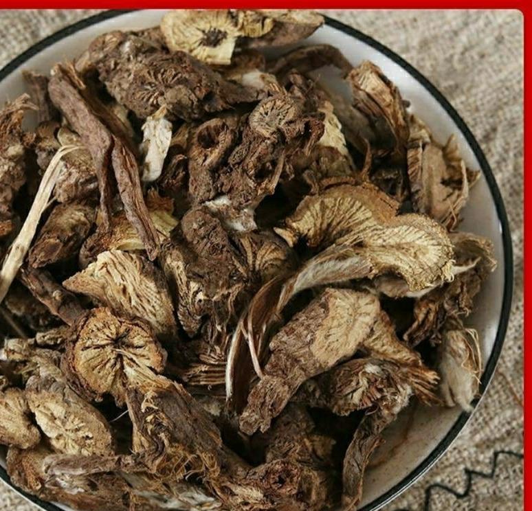漏蘆的功效與作用，漏蘆的功效與作用詳解