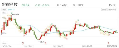 宏微科技股票，探究其背后的力量與未來(lái)展望，宏微科技股票，探究背后的力量與未來(lái)展望趨勢(shì)
