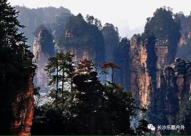 張家界景區(qū)內(nèi)住宿攻略，張家界景區(qū)內(nèi)住宿指南