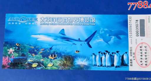 海洋館的奇妙之旅，門票的價值與體驗，海洋館奇妙之旅，門票價值與深度體驗