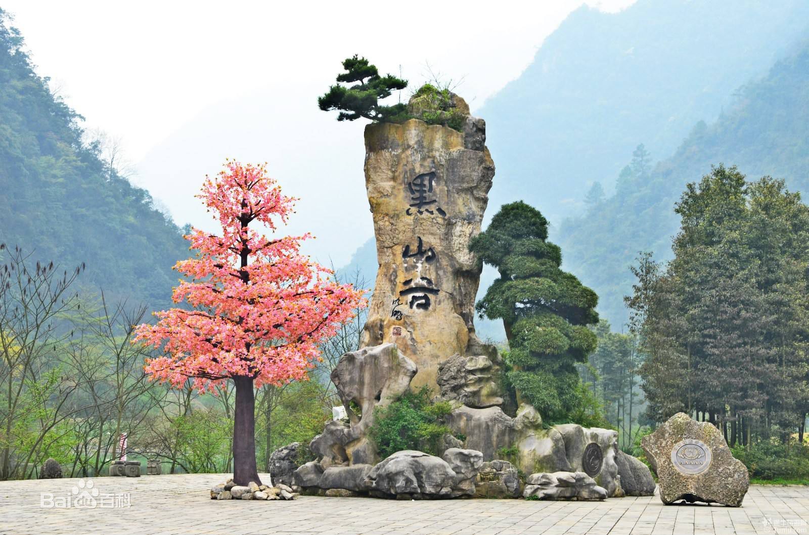 黑山谷景區(qū)，自然之美的獨特展現(xiàn)，黑山谷景區(qū)，自然之美的獨特展現(xiàn)