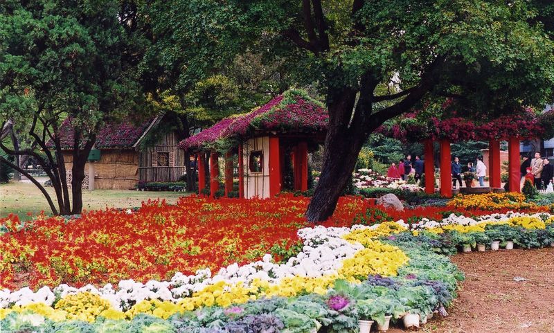 中山公園，歷史與自然的美好交織，中山公園，歷史與自然之美的交融勝地