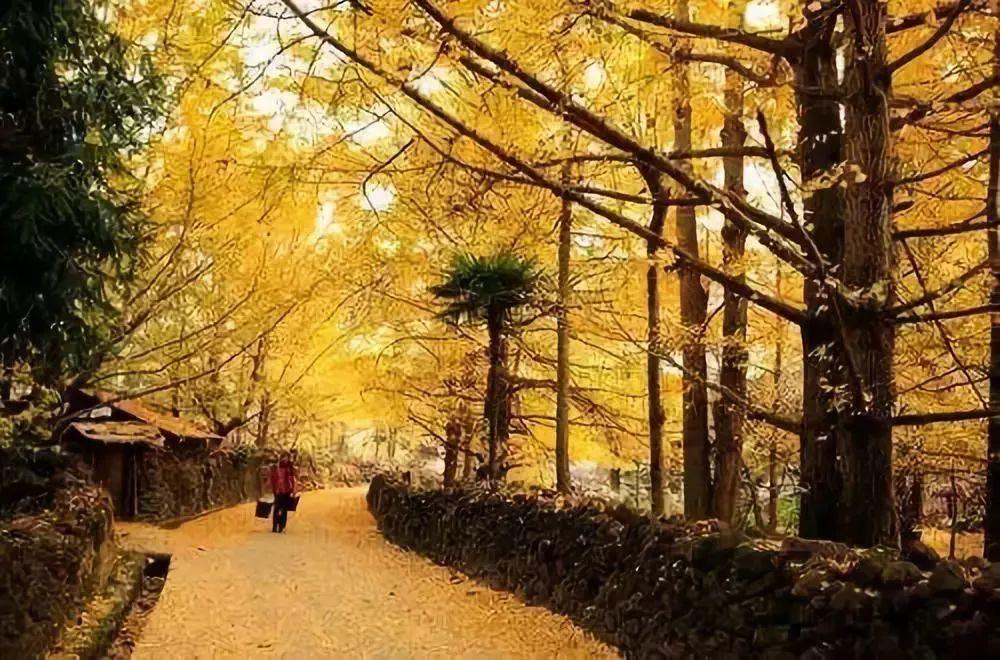 云南旅游的最佳月份選擇，云南旅游最佳月份選擇攻略