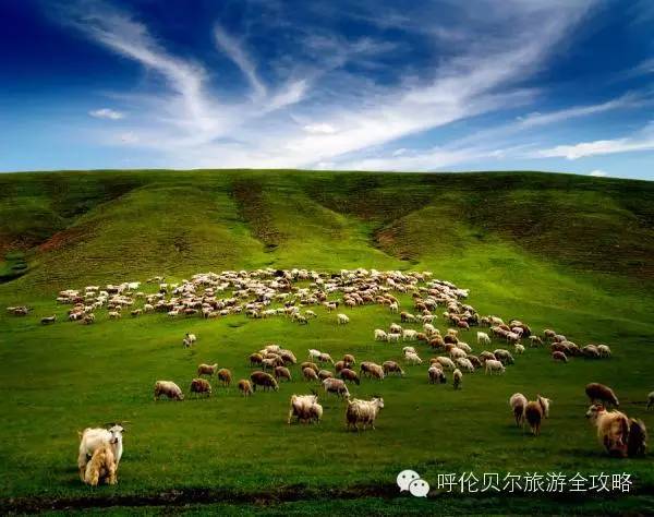 呼倫貝爾草原自由行旅游攻略，呼倫貝爾草原自由行全攻略，暢游草原之旅