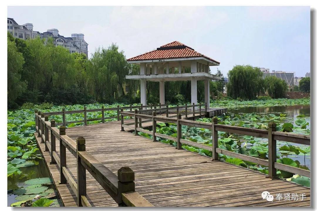 上海旅游必去景點(diǎn)攻略，上海旅游必打卡景點(diǎn)攻略