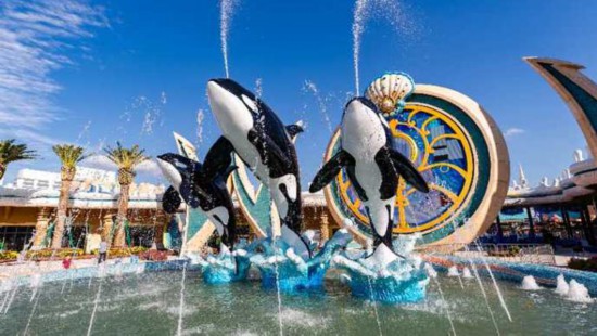 上海海昌海洋公園門票價格詳解，一張門票背后的奇幻海洋之旅，上海海昌海洋公園門票價格揭秘，奇幻海洋之旅等你來體驗！