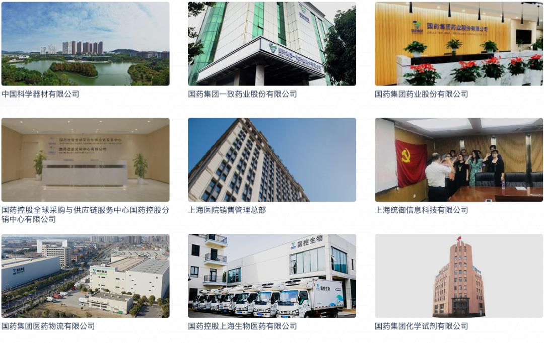 國藥準字，藥巨無霸的增大增長之路，國藥準字，藥企巨頭增長之路的探尋