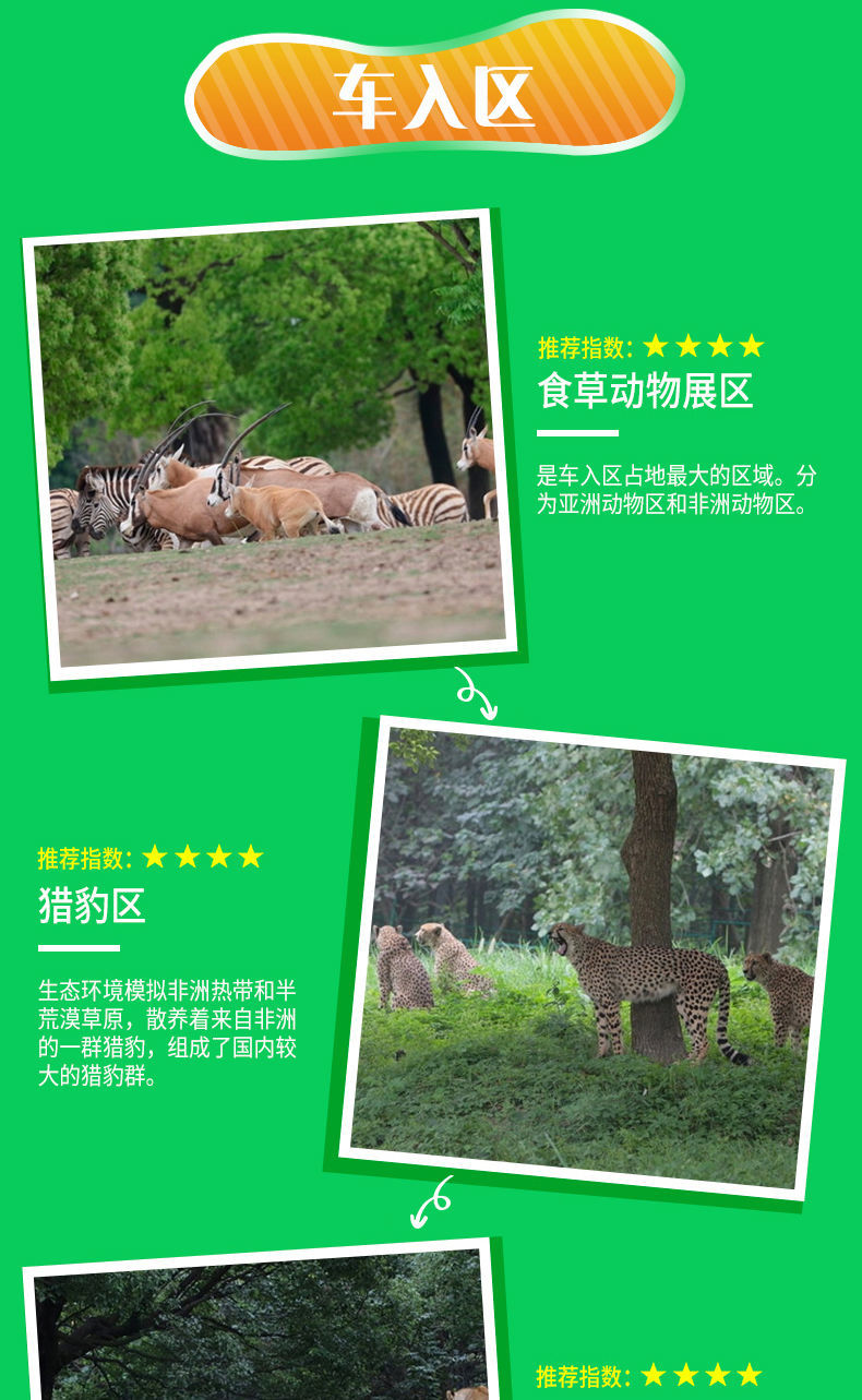 上海野生動物園票價詳解，價格、優(yōu)惠及購票攻略，上海野生動物園票價詳解，價格、優(yōu)惠與購票攻略全攻略
