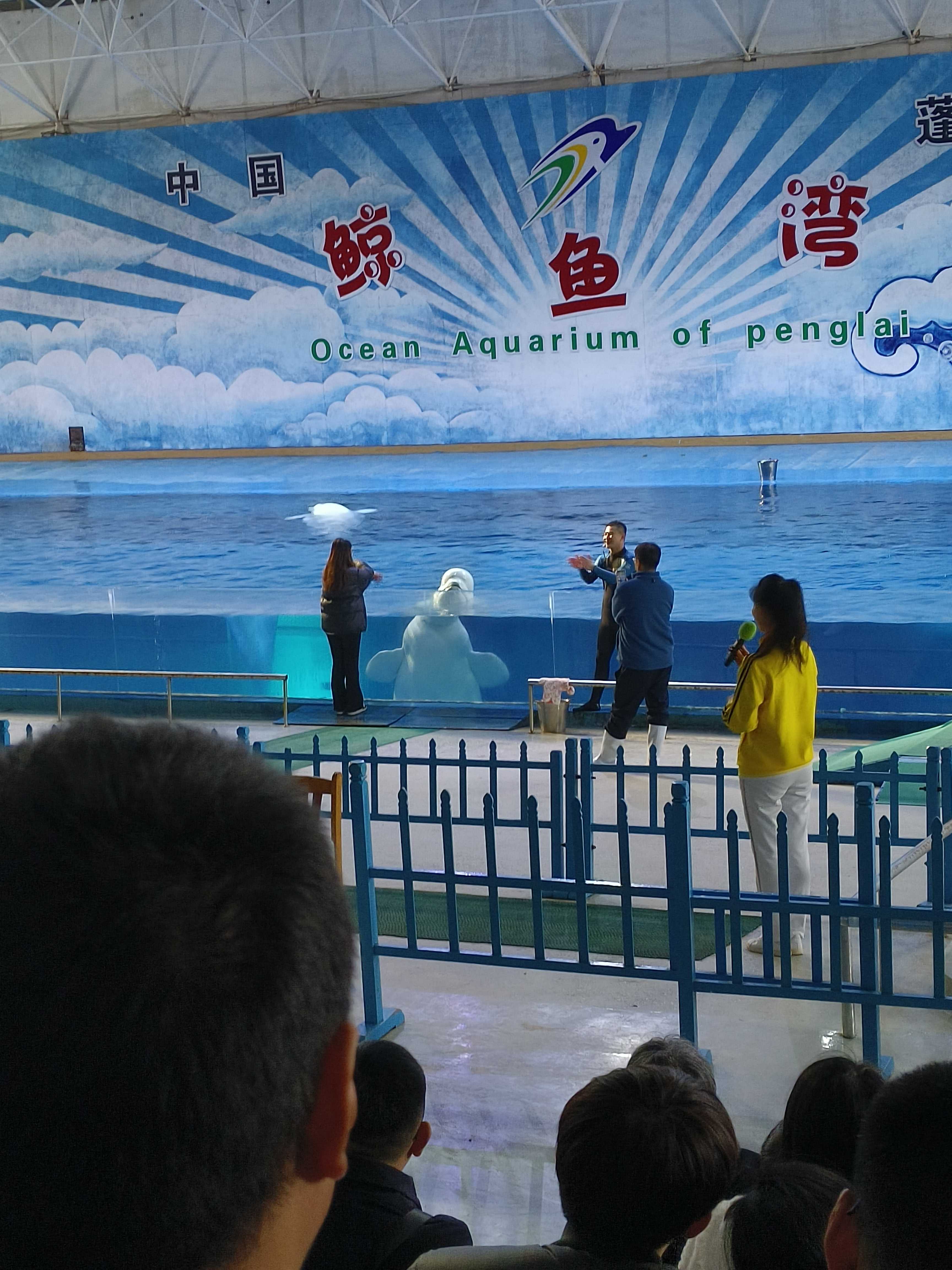 蓬萊極地海洋世界，奇幻的海洋探索之旅，蓬萊極地海洋世界，奇幻海洋探索之旅開啟！
