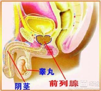 男人前列腺治療方法，全面解析與探討，全面解析與探討男性前列腺治療方法