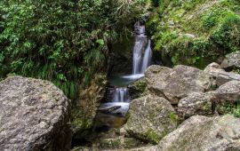 青城山天氣預(yù)報(bào)及旅游氣象指南，青城山天氣預(yù)報(bào)與旅游氣象指南