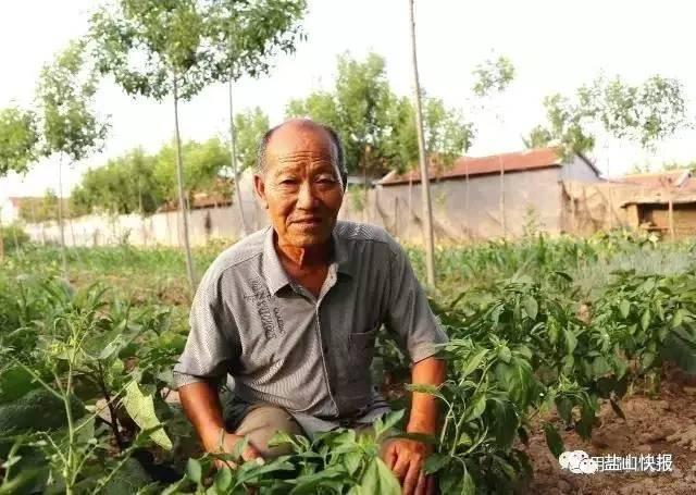 免費(fèi)算姻緣何時(shí)出現(xiàn)，探尋命定之時(shí)的神秘面紗，揭秘命定姻緣出現(xiàn)時(shí)機(jī)，探尋神秘緣分降臨的時(shí)刻