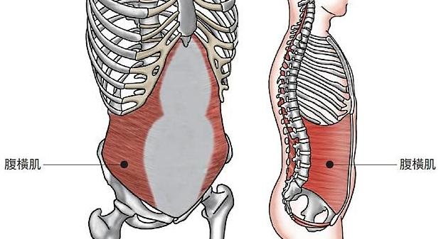 減腰腹贅肉的8個運動，減腰腹贅肉秘訣，8大運動助你告別贅肉困擾