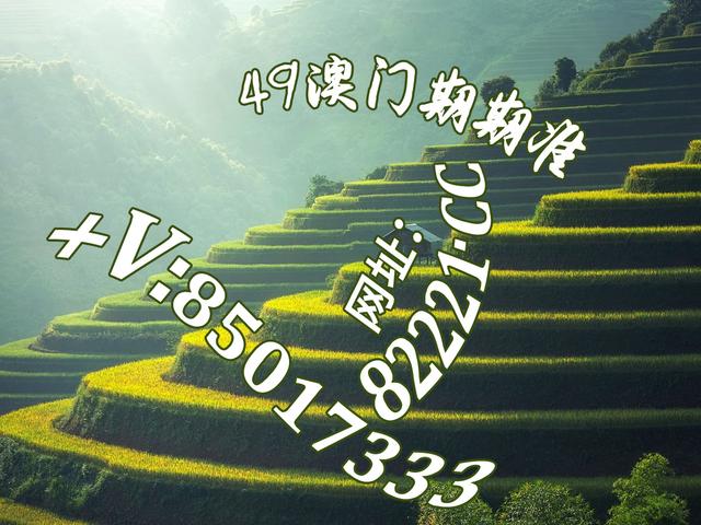新澳門紅姐圖庫，探索與賞析，新澳門紅姐圖庫，探索與賞析之旅