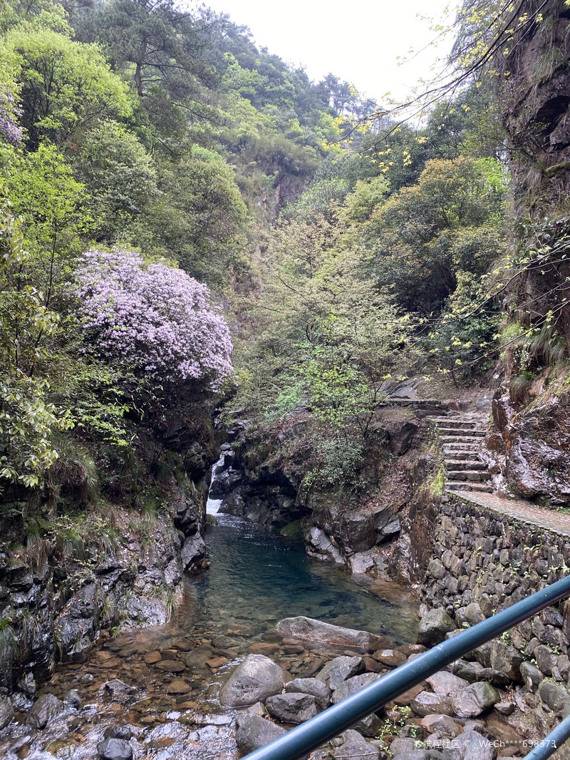 大奇山國家森林公園，自然之韻，生態(tài)之旅，大奇山國家森林公園，自然生態(tài)之旅的絕美韻味