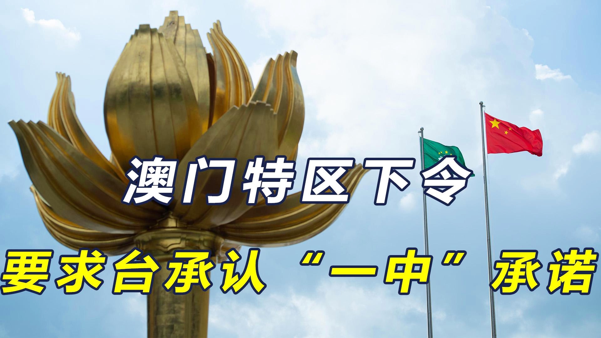 澳門一碼一肖一恃一中，探索彩票背后的文化魅力與期待，澳門彩票文化魅力探索，一碼一肖一恃一中的期待與揭秘
