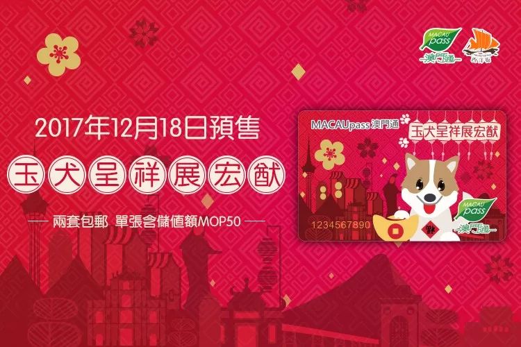 澳門六開彩天天開獎結(jié)果生肖卡，揭示背后的真相與警示，澳門六開彩天天開獎背后的真相與生肖卡的警示揭秘