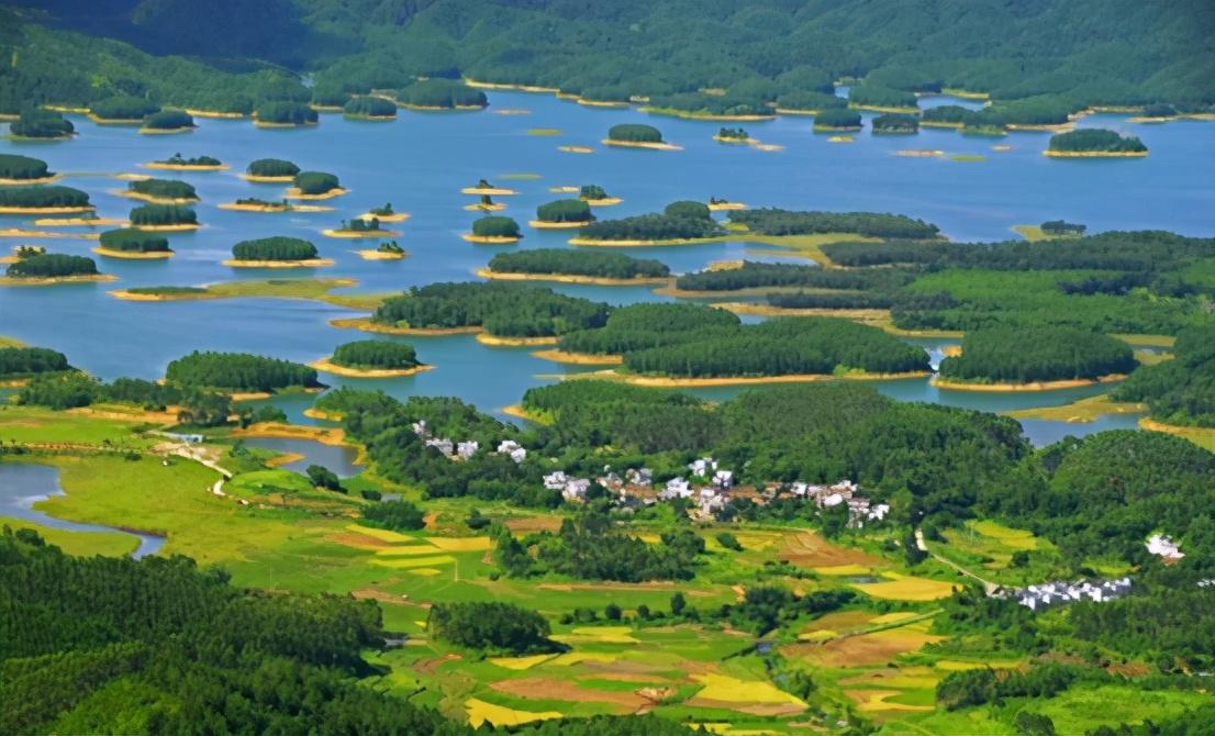 北峰山森林公園，自然之韻，生態(tài)之旅，北峰山森林公園，自然之韻的生態(tài)探險之旅
