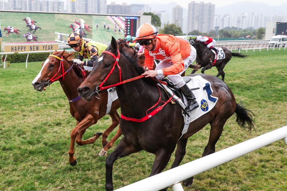 香港特馬盛宴，期待今晚2025年的精彩瞬間，香港特馬盛宴，精彩瞬間即將上演，期待今晚2025年之夜