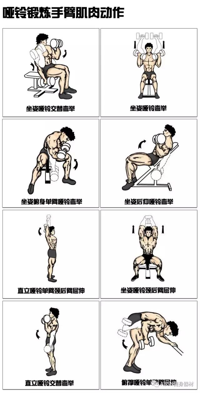 啞鈴經(jīng)典8個(gè)動(dòng)作視頻，健身入門(mén)必備指南，啞鈴經(jīng)典動(dòng)作8式教程，健身入門(mén)必備指南視頻
