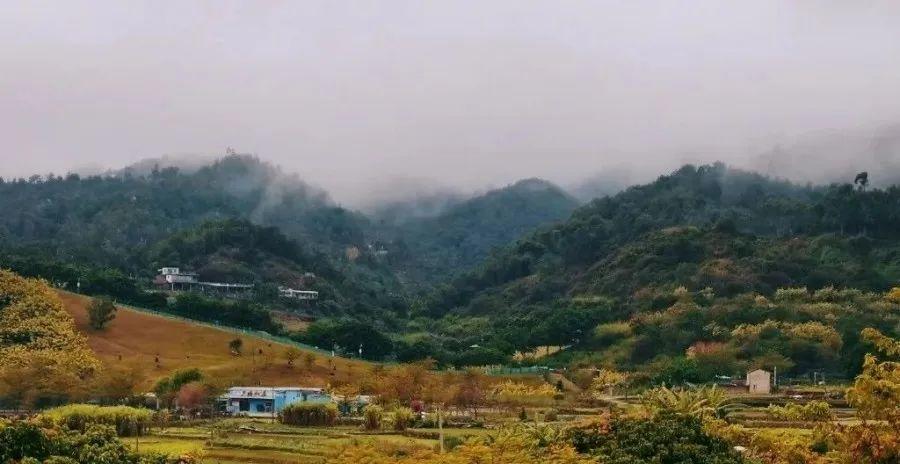 集美旅游必去十大景點(diǎn)，集美旅游必打卡的十大景點(diǎn)