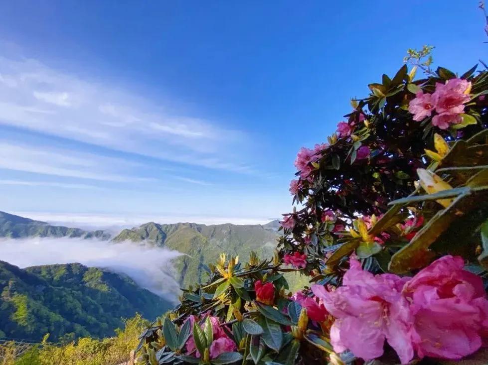 光霧山風(fēng)景區(qū)，自然之韻，人文之魂，光霧山風(fēng)景區(qū)，自然人文的和諧交響——探尋自然之韻與人文之魂的交融之處