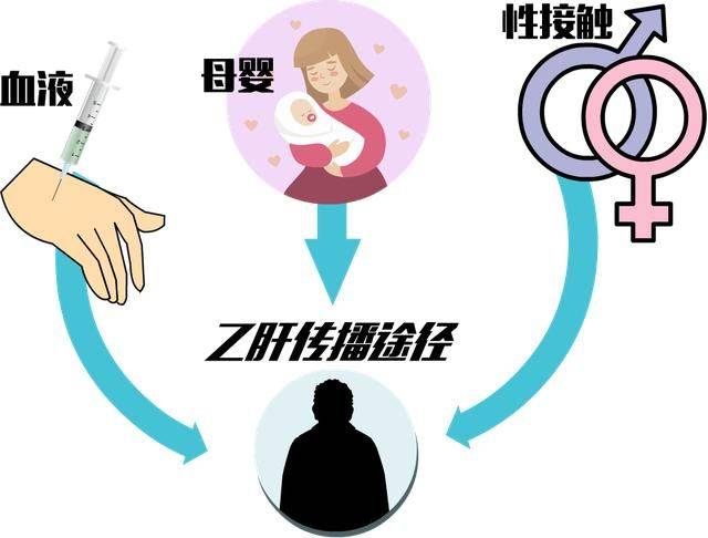 夫妻間乙肝病毒的傳染風(fēng)險(xiǎn)與防控策略，夫妻間乙肝病毒的傳染風(fēng)險(xiǎn)及防控策略探討