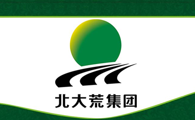 北大荒股票最新消息全面解析，北大荒股票最新動態(tài)全面解讀
