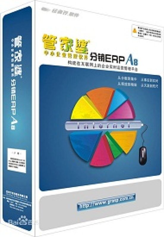管家婆，家庭與企業(yè)的得力助手，管家婆，家庭與企業(yè)的得力助手角色定位解析