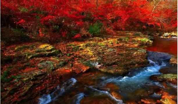 丹東鳳凰山旅游景區(qū)游玩攻略，丹東鳳凰山旅游景區(qū)游玩攻略全解析