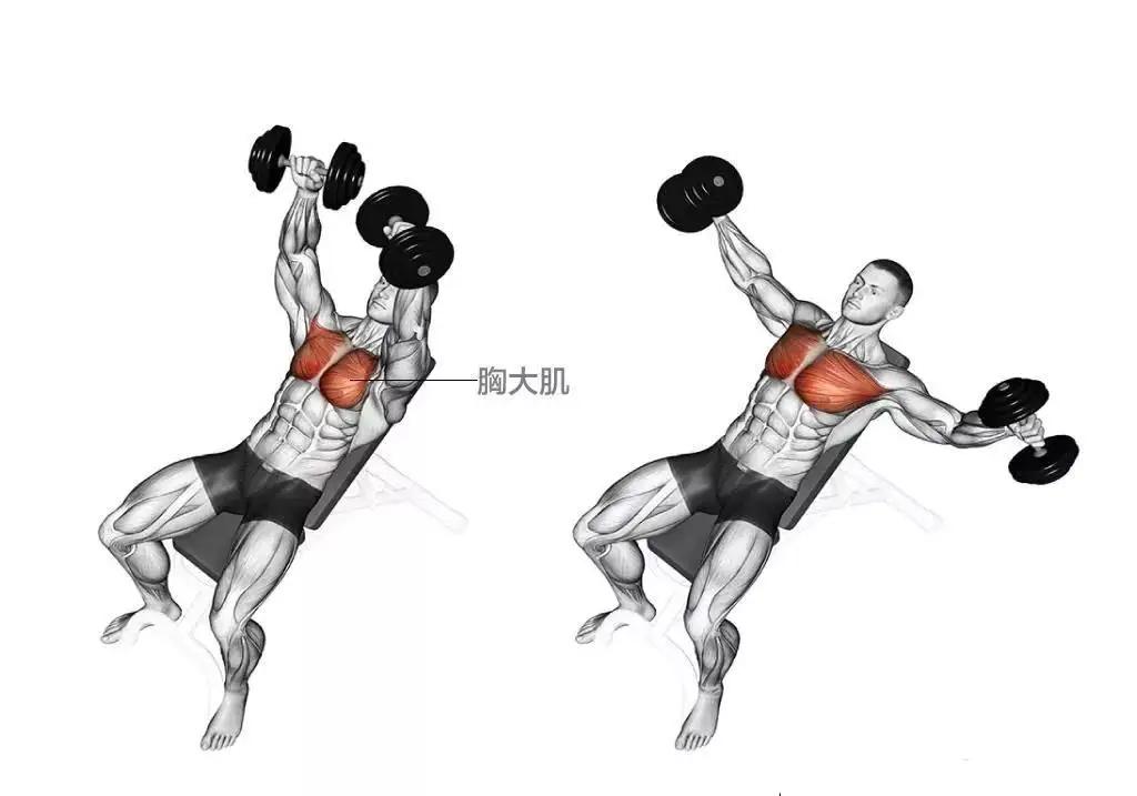 健身設(shè)施的重要性及其在現(xiàn)代社會的應(yīng)用，健身設(shè)施的重要性及其在推動現(xiàn)代社會健康進程中的關(guān)鍵作用