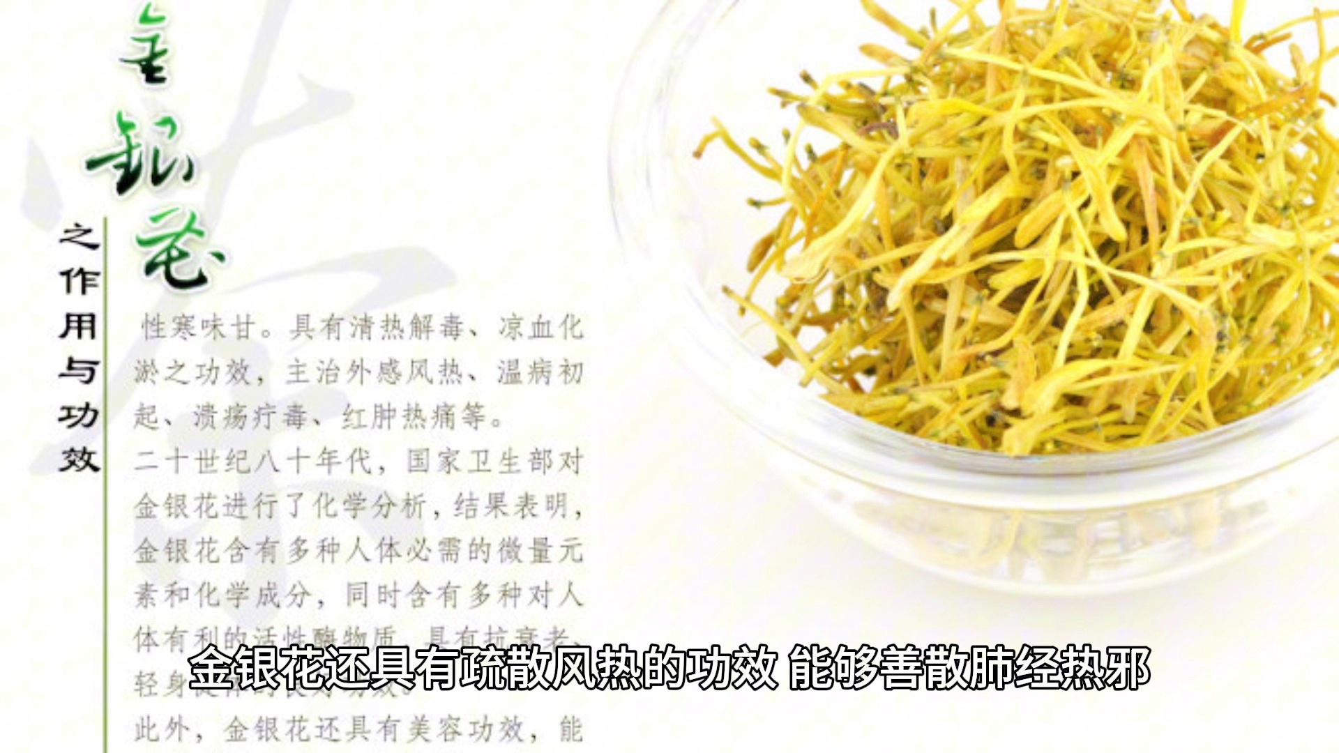金銀花的功效與作用，傳統(tǒng)醫(yī)學的瑰寶，金銀花的神奇功效，傳統(tǒng)醫(yī)學的瑰寶揭秘