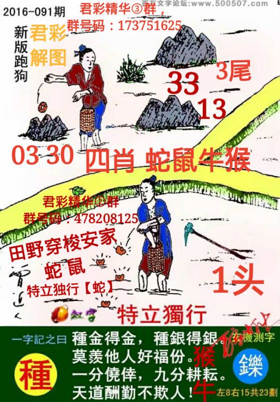 探索精準(zhǔn)跑狗圖，77777與88888的神秘結(jié)合，揭秘精準(zhǔn)跑狗圖，神秘結(jié)合77777與88888的奧秘探索