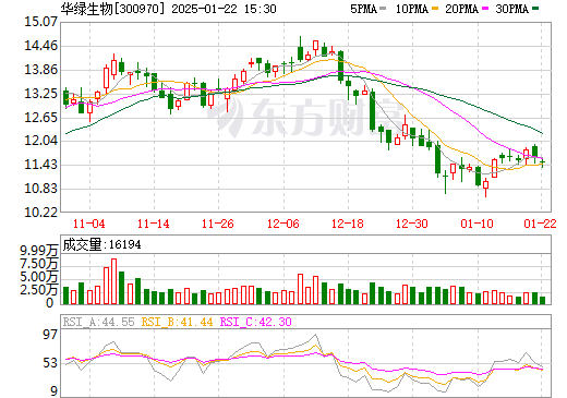 關(guān)于股票300970的深入解析，股票300970深度解析報告
