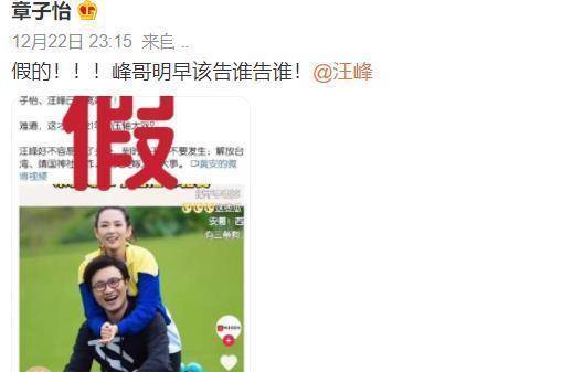 探索離婚群體，一個數(shù)字背后的故事——以374728322離婚群為例，數(shù)字背后的故事，探索離婚群體的真實生活——以離婚群374728322為例