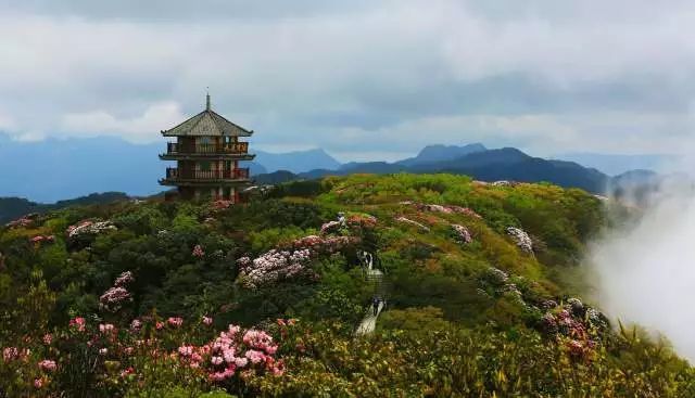 重慶金佛山風(fēng)景區(qū)的自然魅力與人文底蘊(yùn)，重慶金佛山風(fēng)景區(qū)的自然人文魅力探秘
