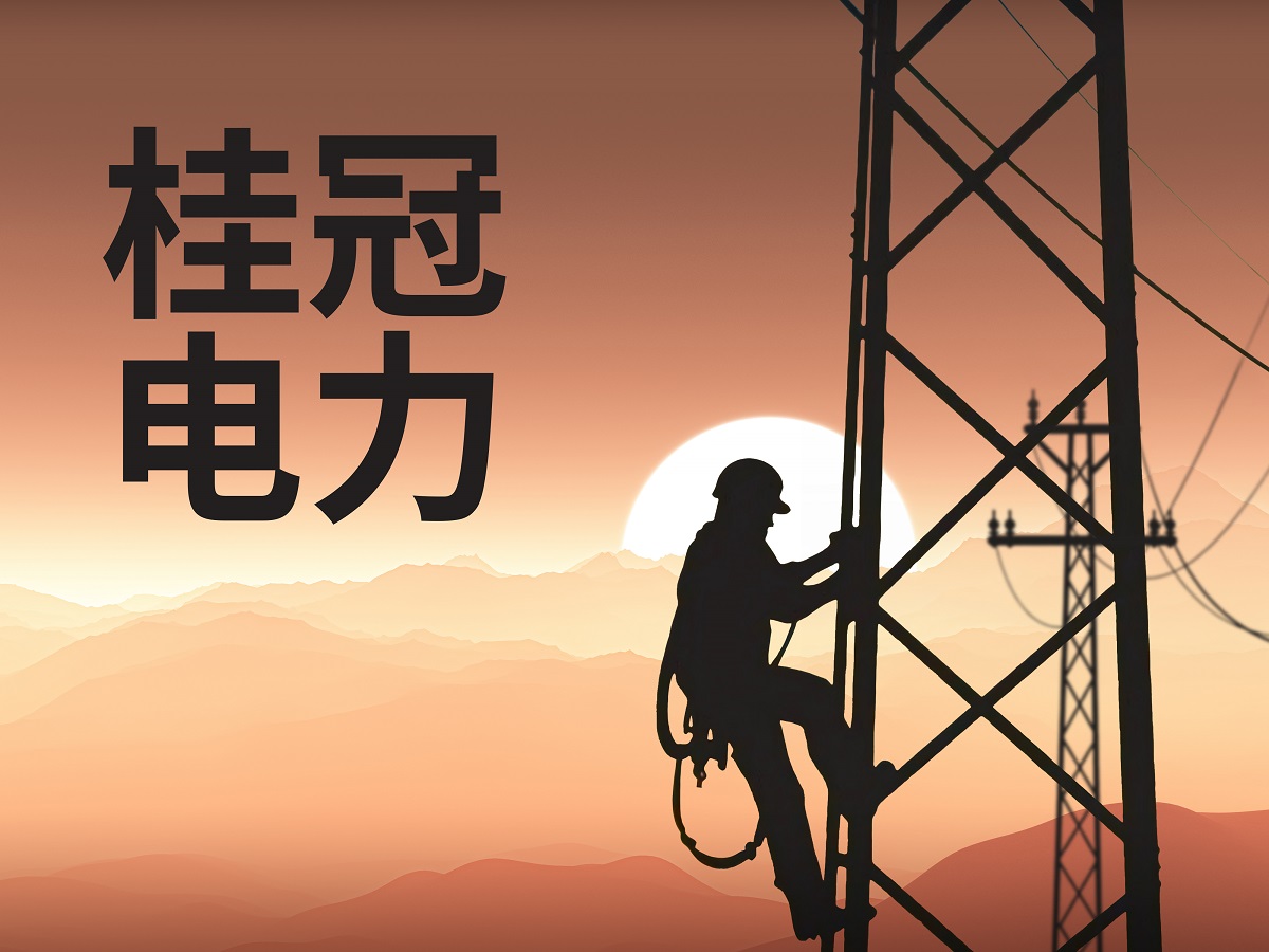 桂冠電力最新消息綜述，桂冠電力最新消息綜合報道