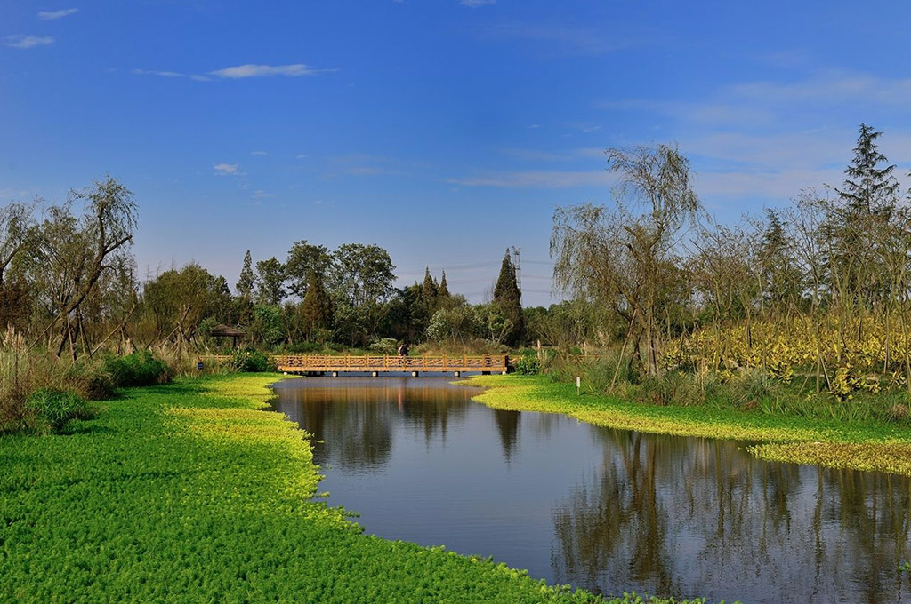 濕地公園景點(diǎn)介紹，濕地公園景點(diǎn)探秘，自然美景一覽無(wú)余
