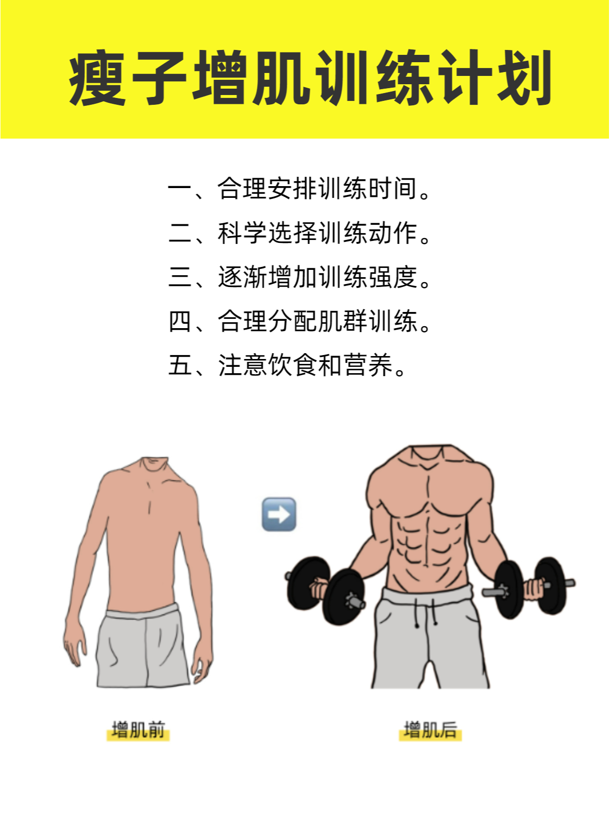 瘦人健身增重訓(xùn)練計(jì)劃，瘦人健身增重訓(xùn)練計(jì)劃，打造完美體型之旅