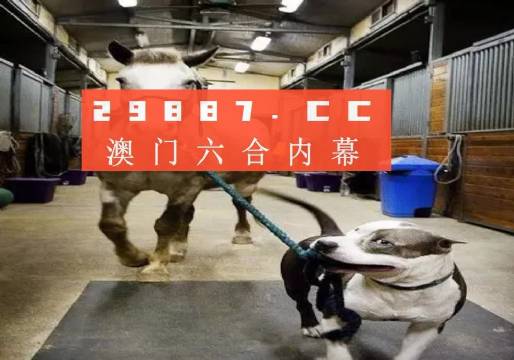 新奧門(mén)一肖一馬必中的奧秘與探索，新奧門(mén)一肖一馬必中的奧秘揭秘與探索