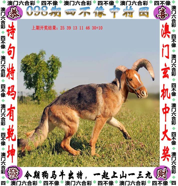 揭秘四不像正版資料的真相，揭秘四不像正版資料的真相，背后的故事與真相解析